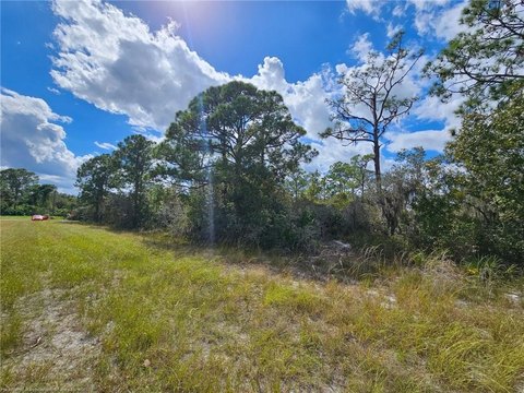 Land, Lake Placid, FL