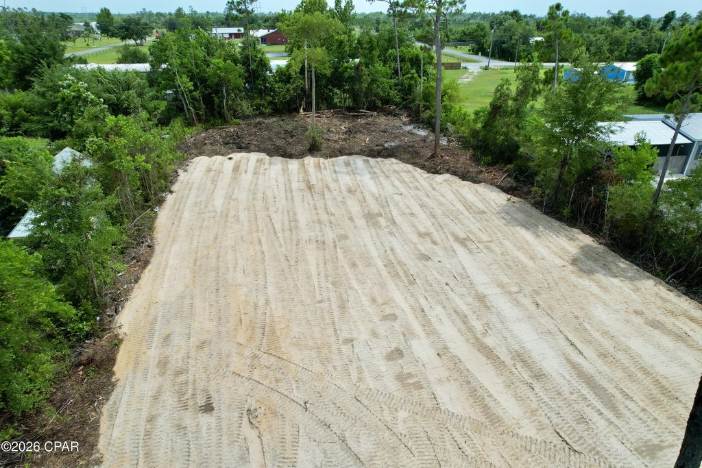 Picture 6