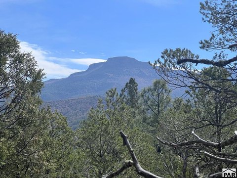 Land, Trinidad, CO