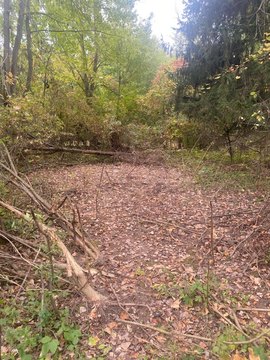 Residential Lot in Walker, MI