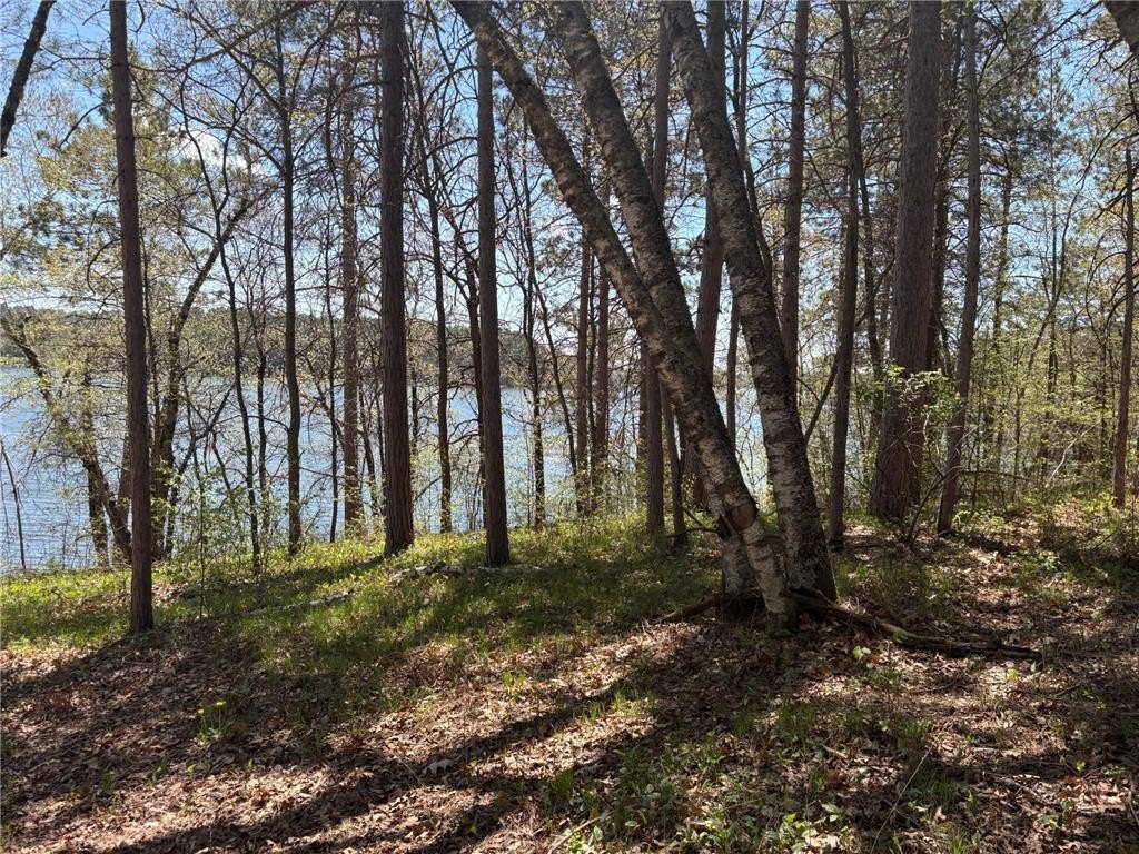 Picture 19