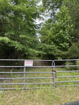 Secluded Acreage Near Loop 224