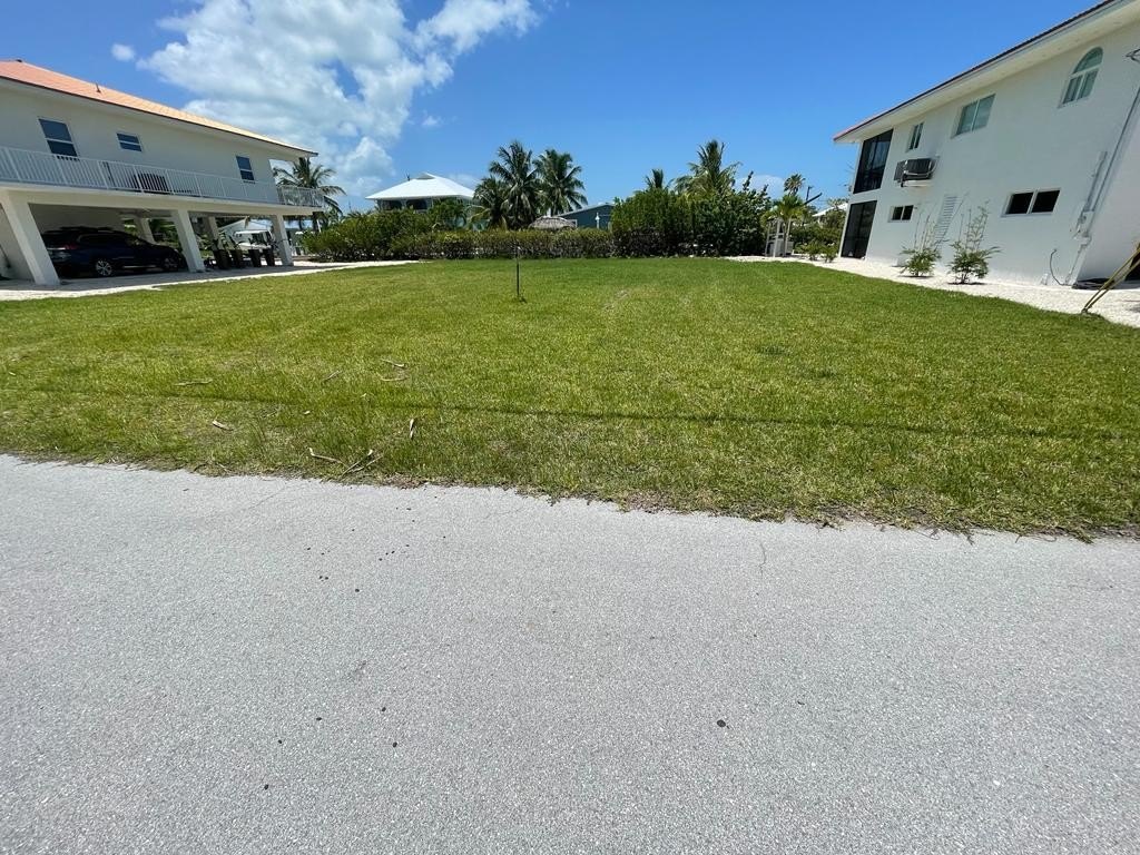 Picture 6