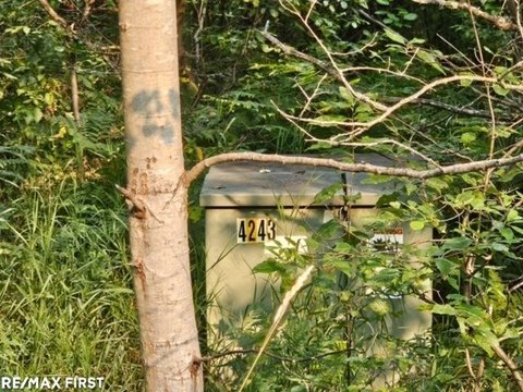 Wooded Land Near Higgins Lake