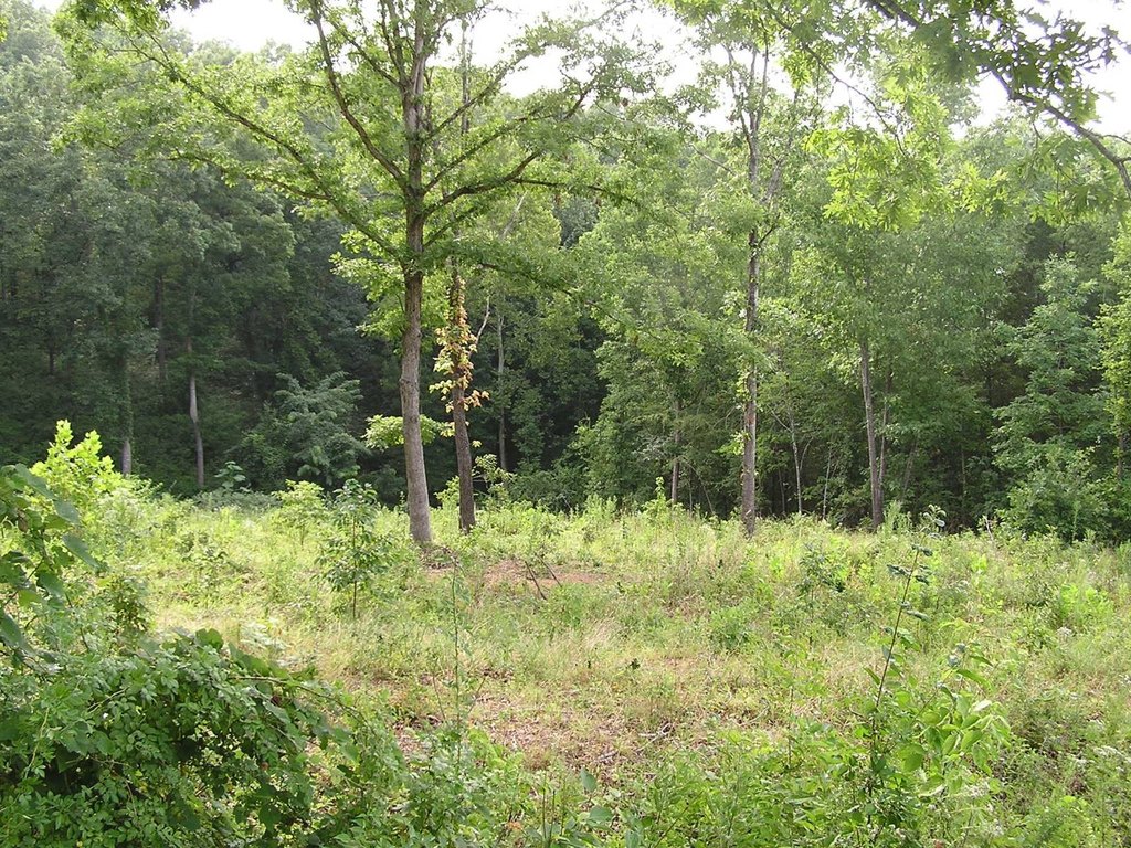Picture 31