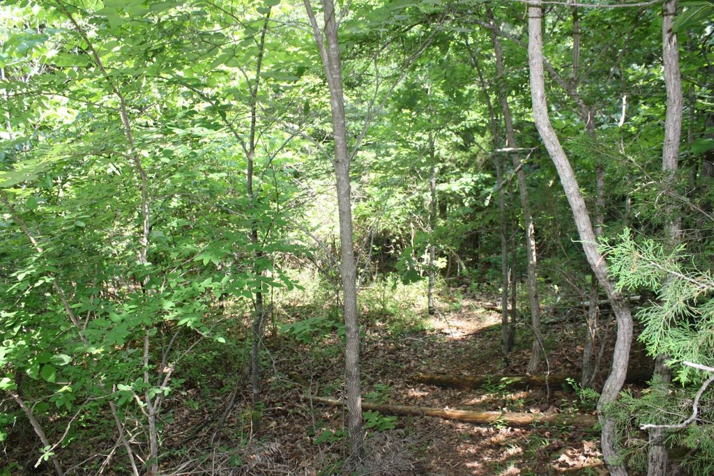 Picture 7