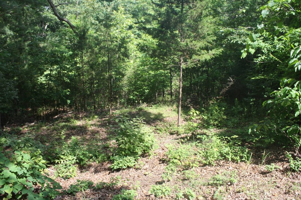 Picture 4