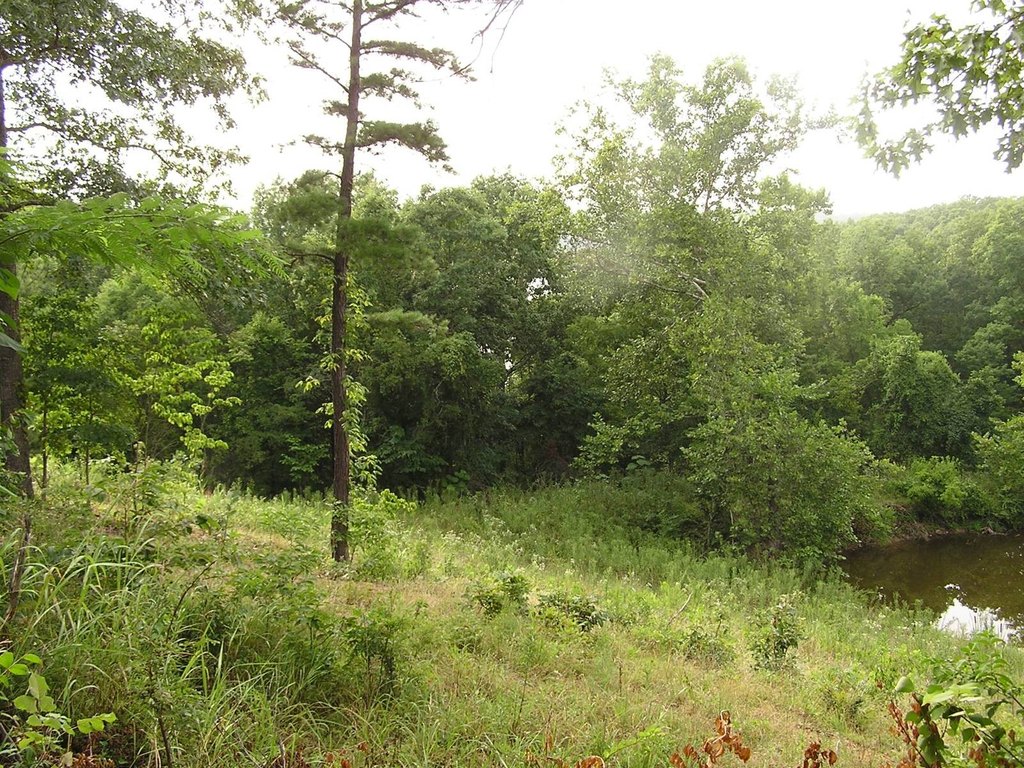 Picture 32