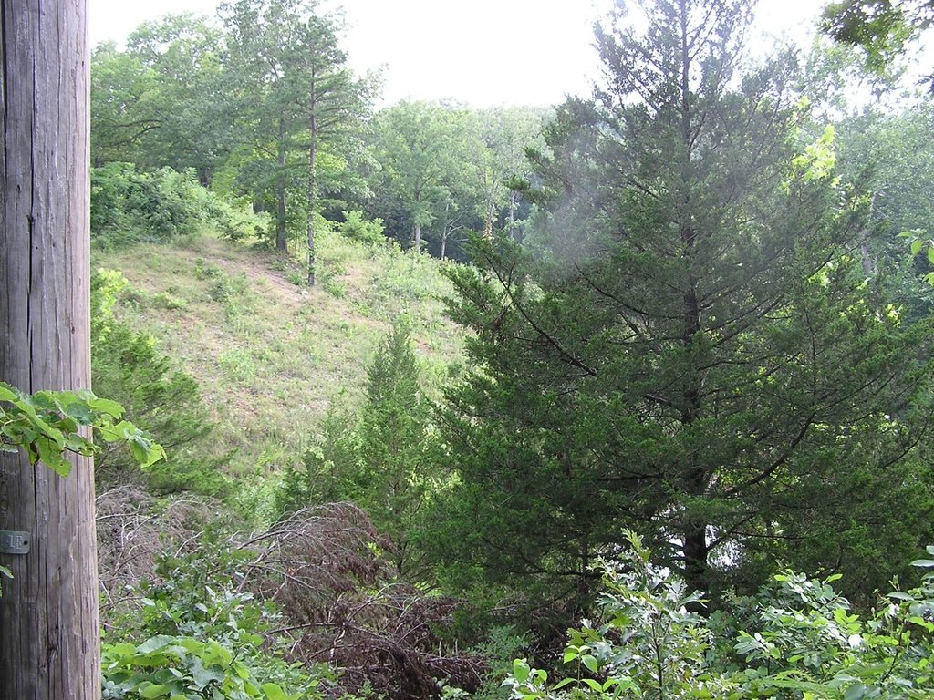 Picture 34