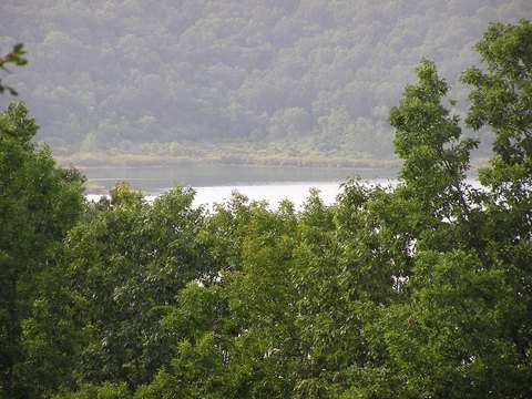 Land, Bull Shoals, AR