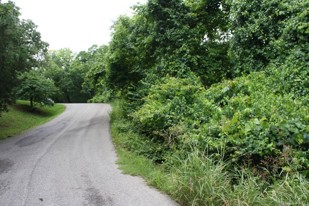 Picture 21