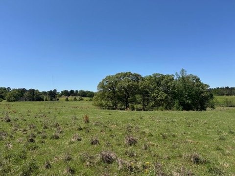 2 Acres of Land in Gilmer