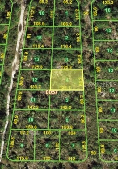 Picture 3