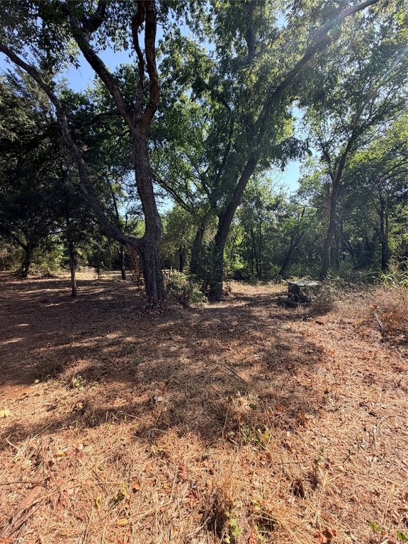 Picture 23