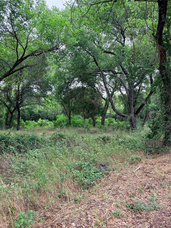 Picture 9