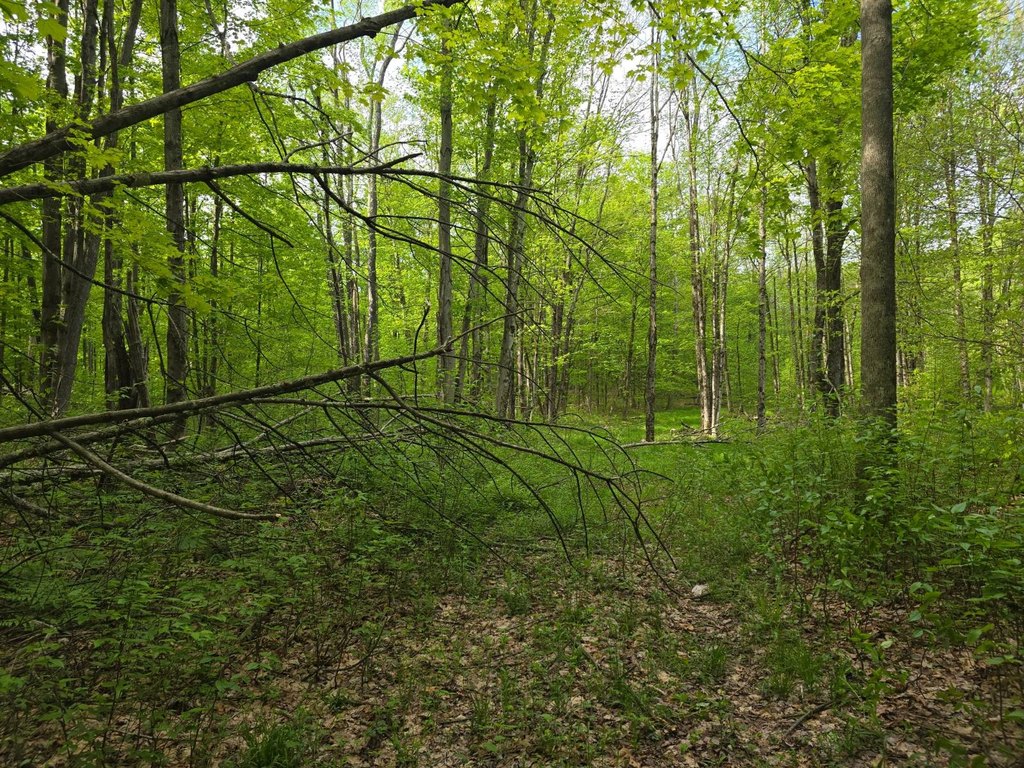 Picture 48