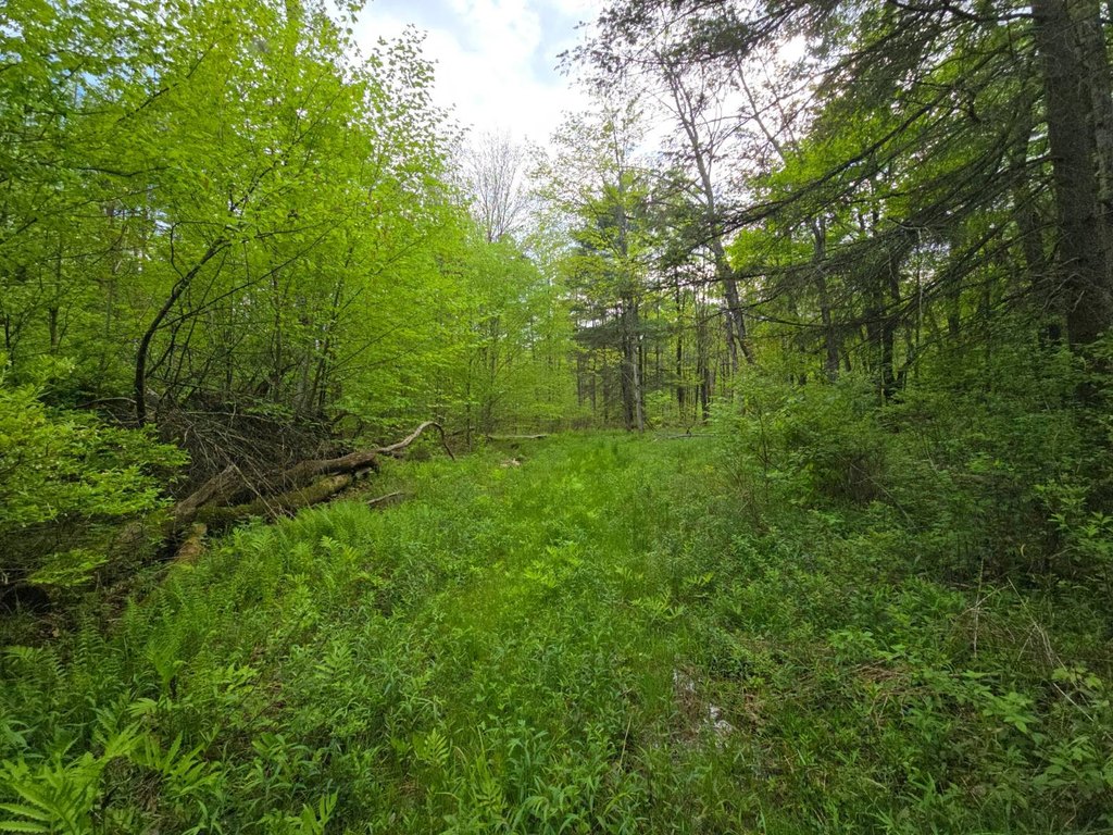 Picture 39