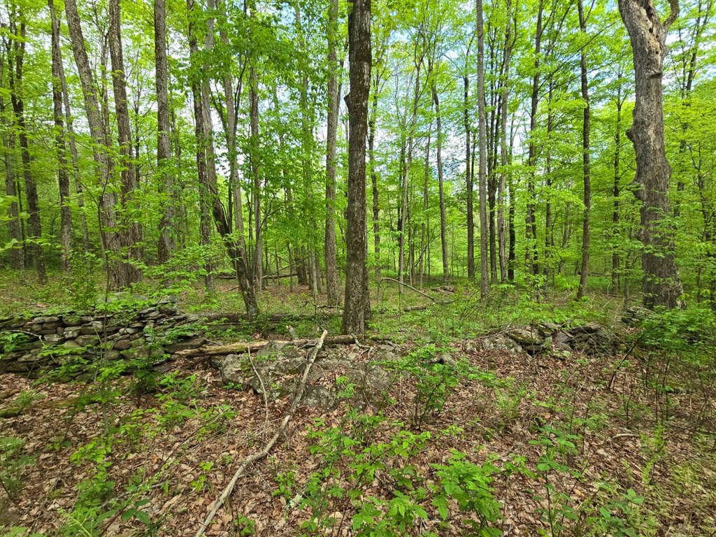 Picture 21