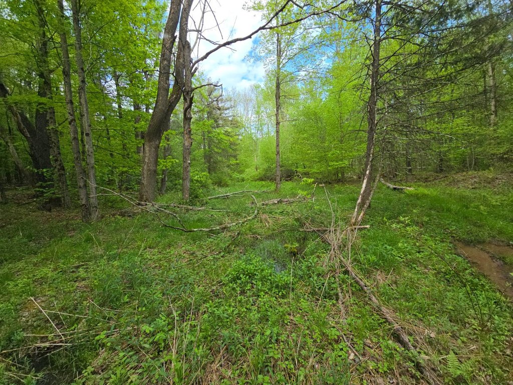 Picture 41