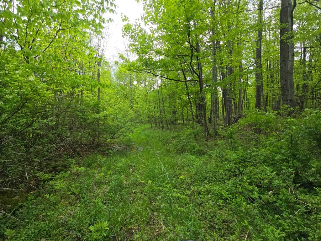 Picture 42