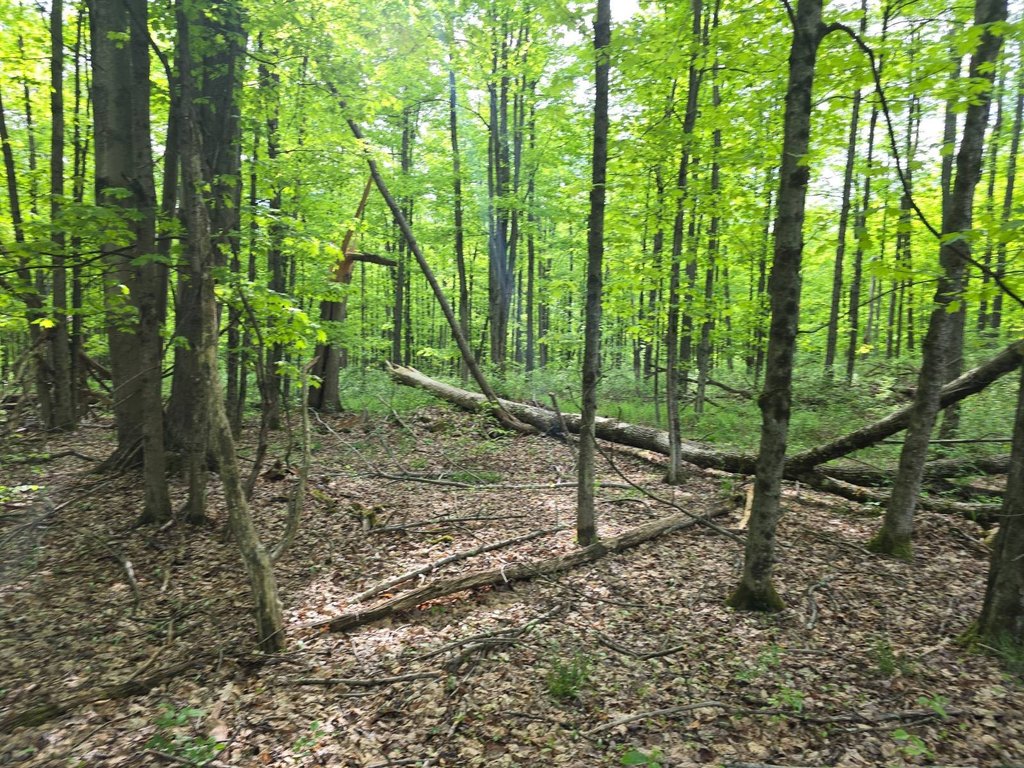 Picture 47