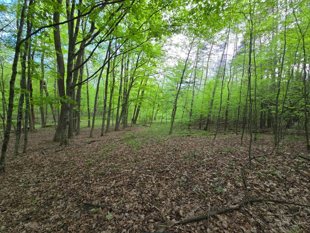 Picture 38