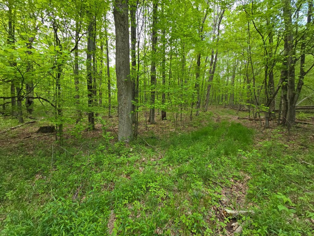 Picture 44