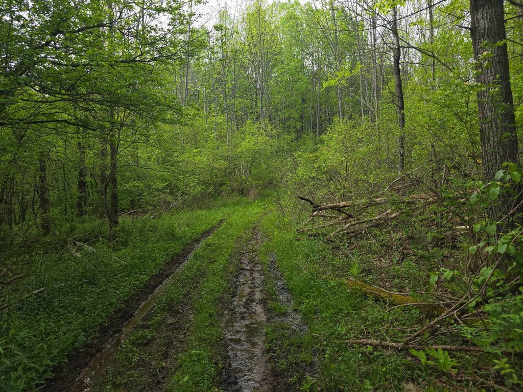 Picture 8