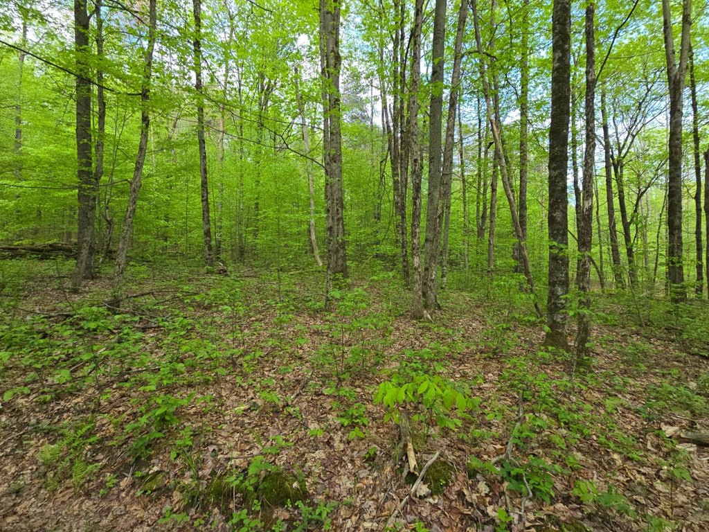 Picture 23