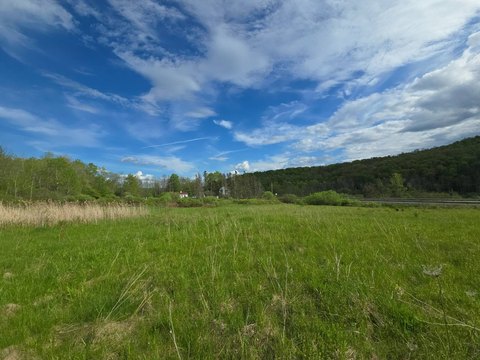 Recreational Hunting Land with Trail System