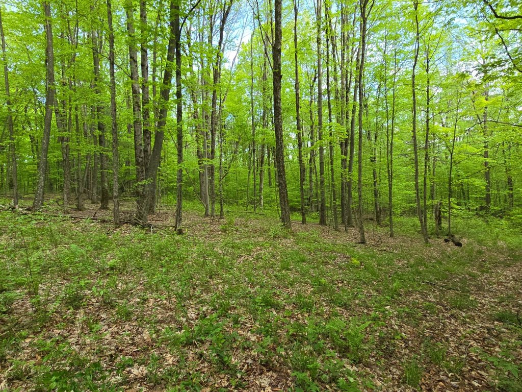 Picture 25