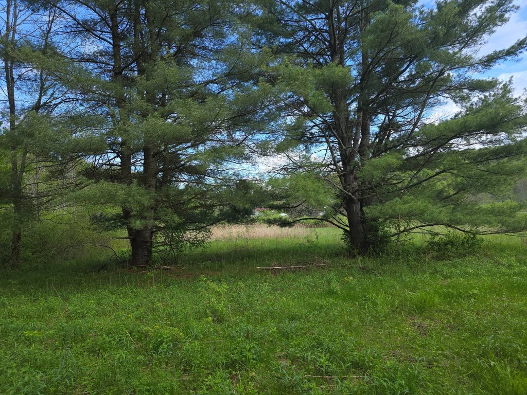 Picture 3