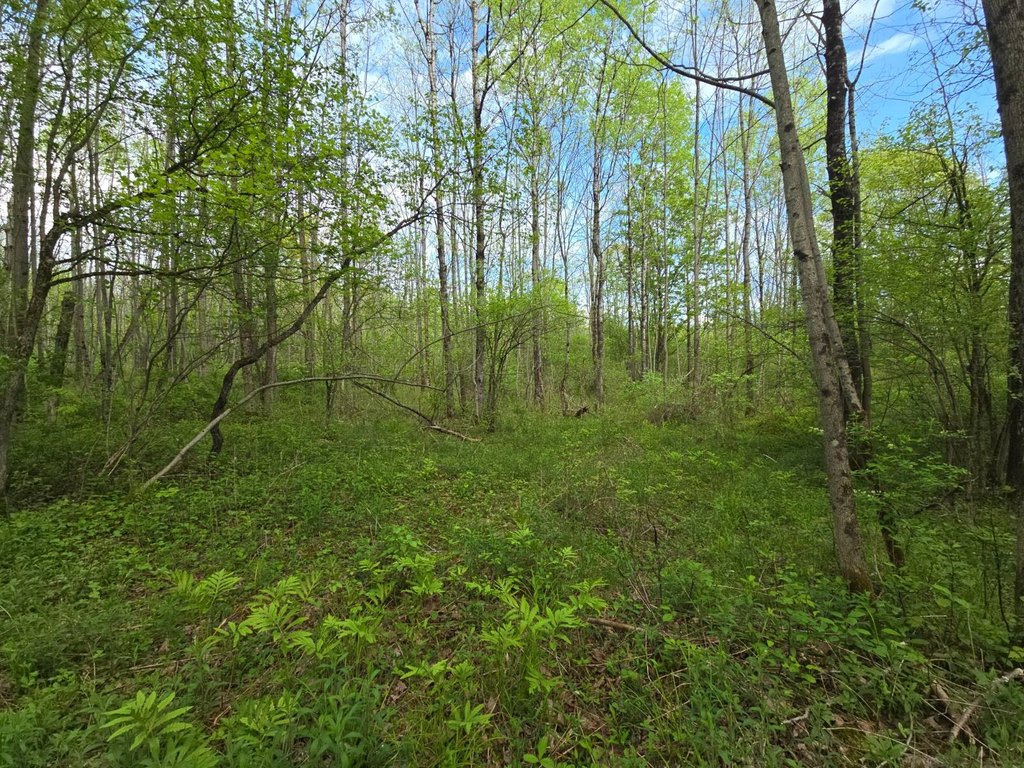 Picture 9