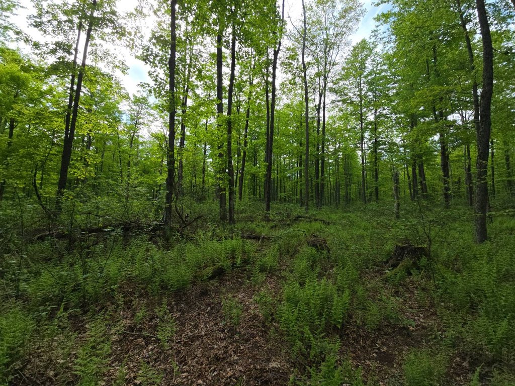 Picture 19