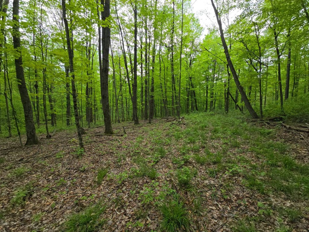 Picture 36