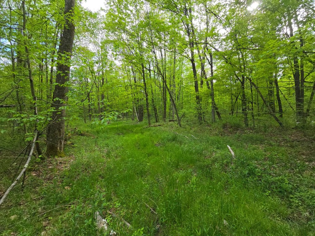 Picture 43