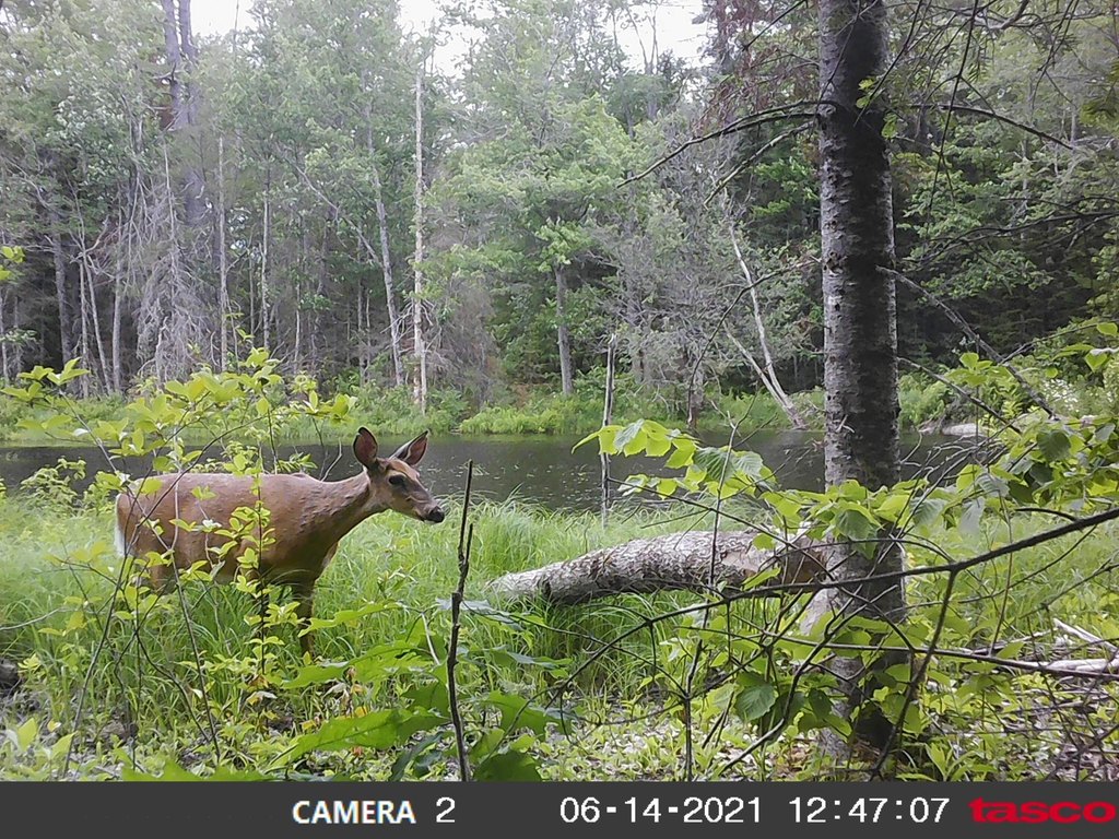 Picture 20