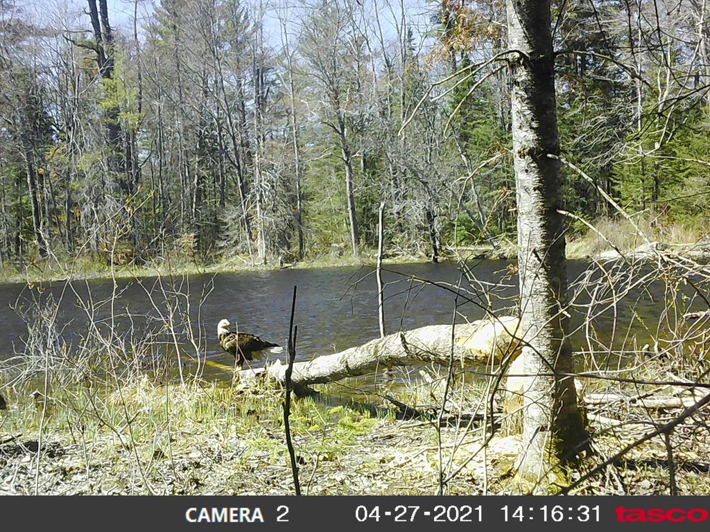 Picture 18