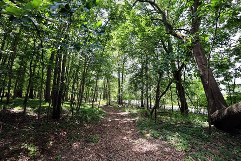 Scenic Hunter's Paradise Land