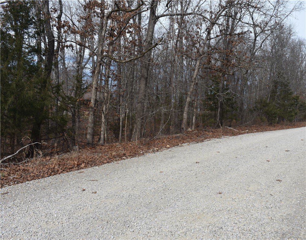 Wooded Lot Near Lake Norfork