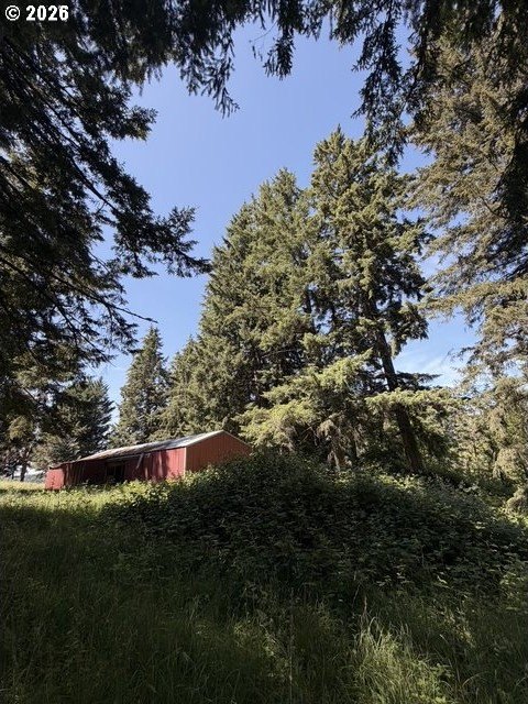 Picture 12