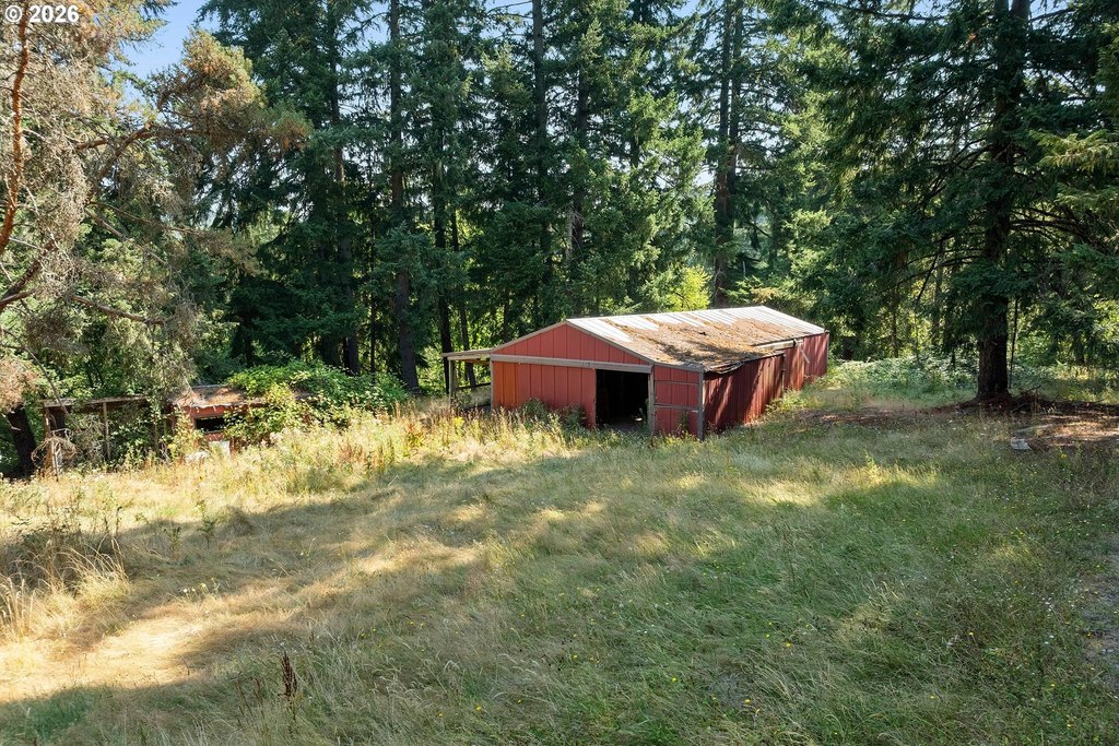 Picture 16