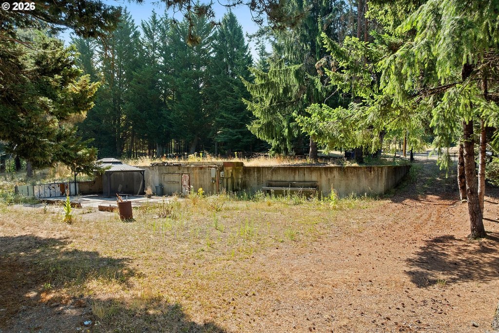 Picture 20
