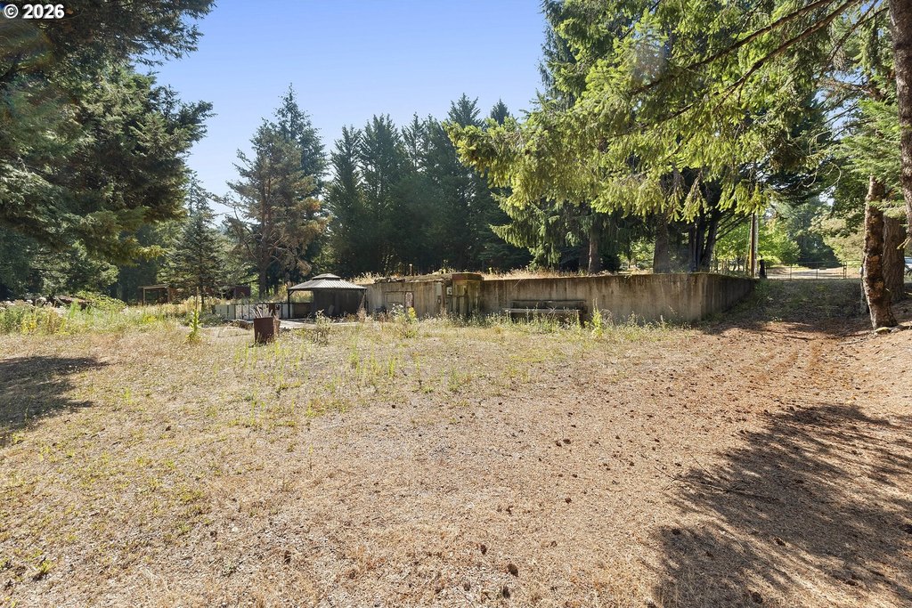 Picture 31