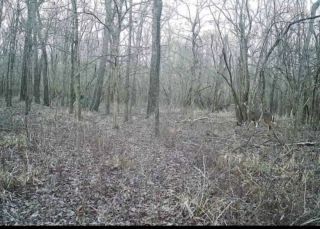 Picture 15