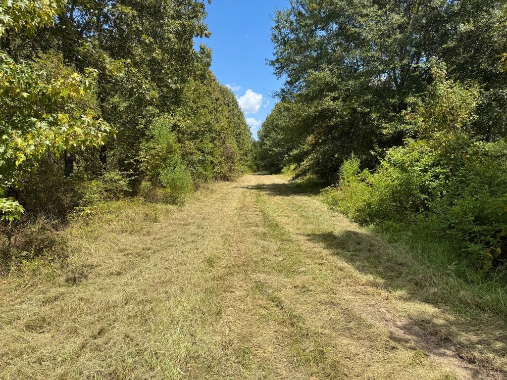 Picture 6