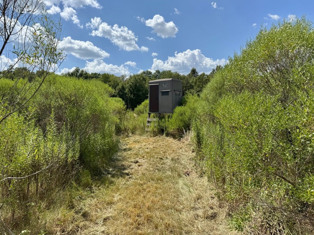 Picture 36