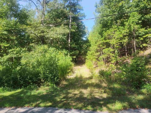 Vacant Land, Little Rock, AR