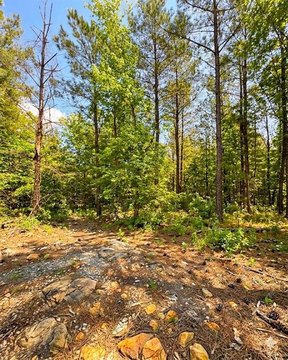 LAND - Broken Bow, OK