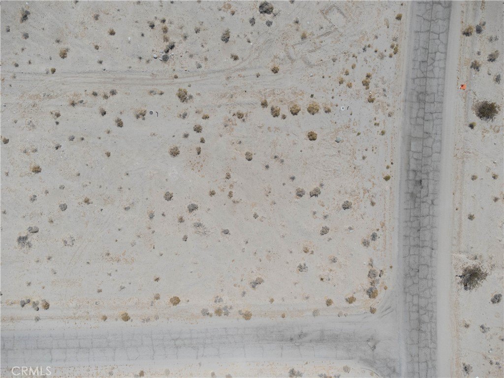 Picture 10